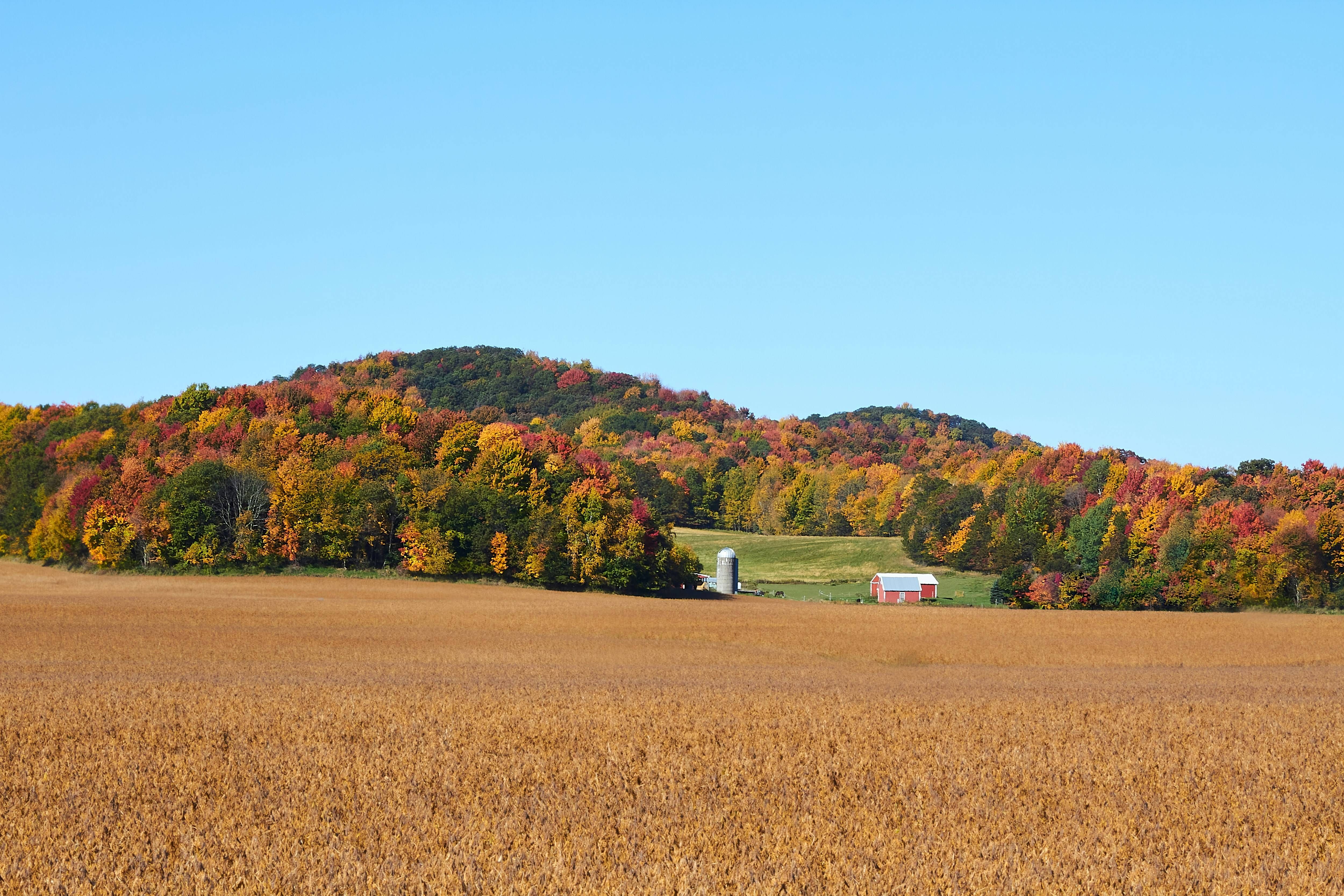 Old Farm Fields (Midwest U.S.)